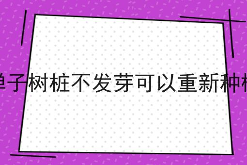 金弹子树桩不发芽可以重新种植吗