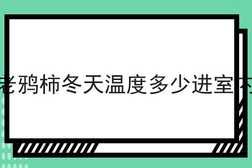 老鸦柿冬天温度多少进室内