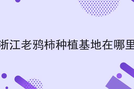 浙江老鸦柿种植基地在哪里