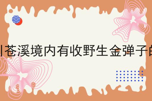 四川苍溪境内有收野生金弹子的吗