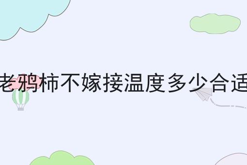 老鸦柿不嫁接温度多少合适