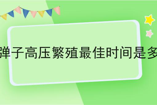 金弹子高压繁殖最佳时间是多少