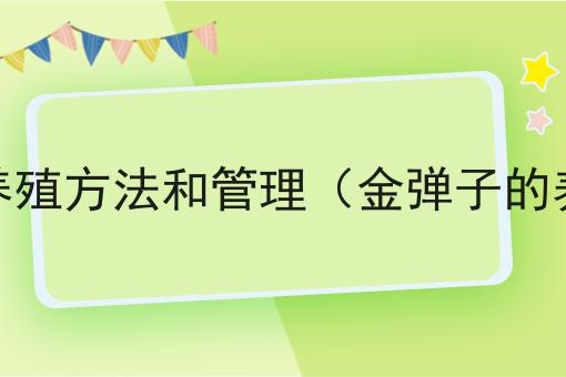 金弹子的养殖方法和管理（金弹子的养殖技术）