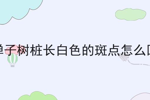 金弹子树桩长白色的斑点怎么回事