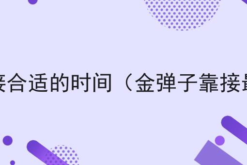 金弹子靠接合适的时间（金弹子靠接最佳时间）