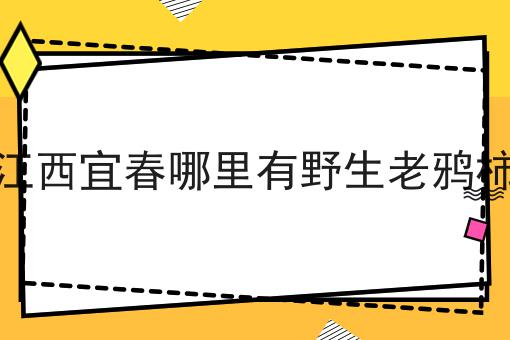 江西宜春哪里有野生老鸦柿