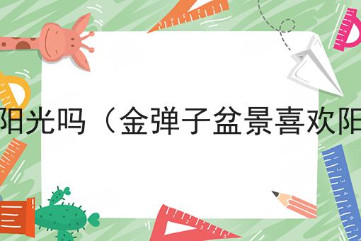 金弹子盆景喜欢阳光吗（金弹子盆景喜欢阳光吗还是阴凉）