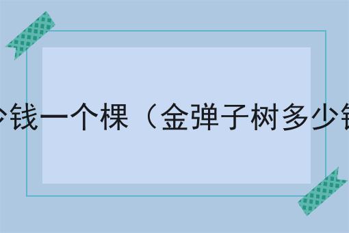 金弹子树多少钱一个棵（金弹子树多少钱一个棵植）