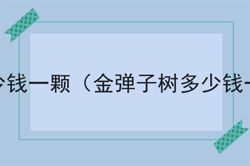 金弹子树多少钱一颗（金弹子树多少钱一颗几十年）