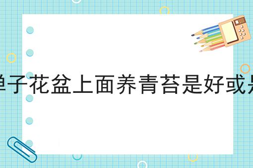 金弹子花盆上面养青苔是好或是坏