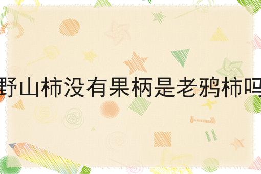 野山柿没有果柄是老鸦柿吗