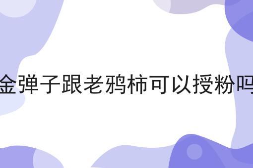 金弹子跟老鸦柿可以授粉吗