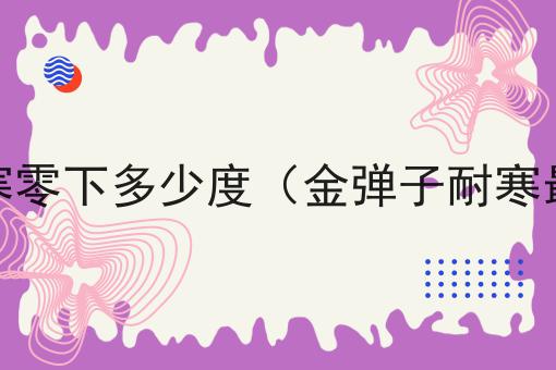 金弹子耐寒零下多少度（金弹子耐寒最低温度）