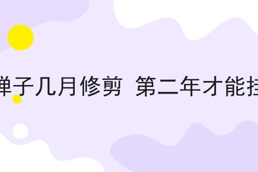 金弹子几月修剪 第二年才能挂果