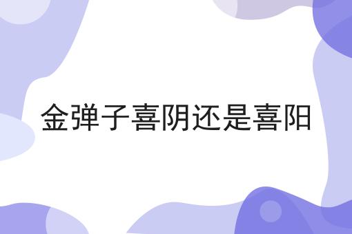 金弹子喜阴还是喜阳