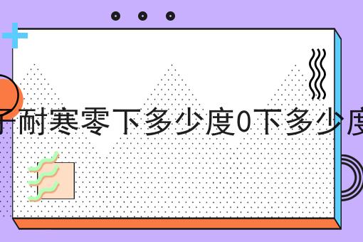 金弹子耐寒零下多少度0下多少度结冰