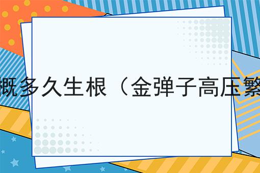 金弹子高压繁殖大概多久生根（金弹子高压繁殖多长时间生根）