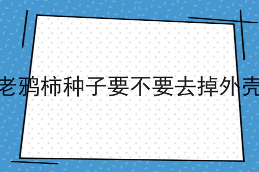 老鸦柿种子要不要去掉外壳