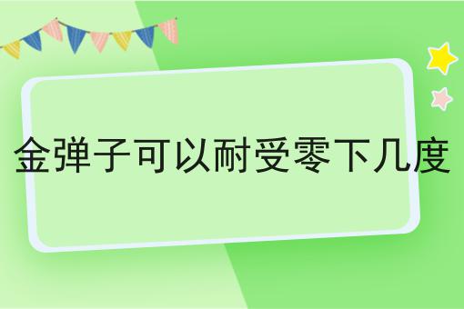 金弹子可以耐受零下几度