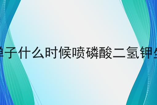 金弹子什么时候喷磷酸二氢钾坐果