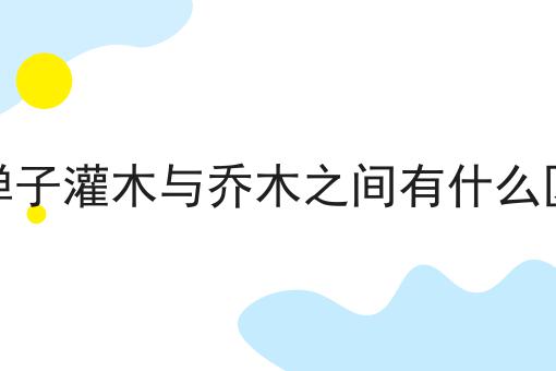 金弹子灌木与乔木之间有什么区别