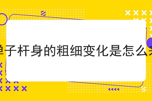 金弹子杆身的粗细变化是怎么来的