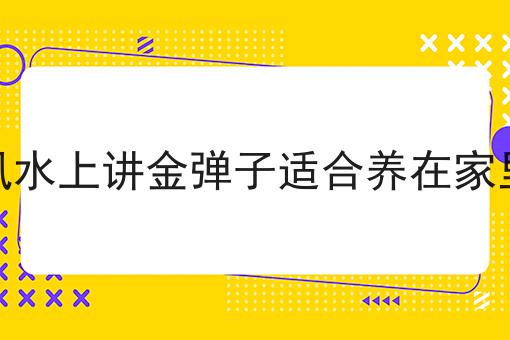 在风水上讲金弹子适合养在家里吗