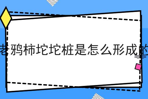 老鸦柿坨坨桩是怎么形成的