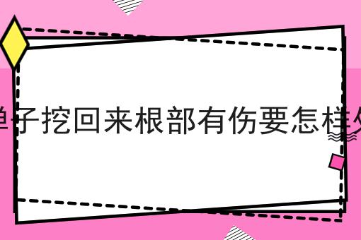 金弹子挖回来根部有伤要怎样处理