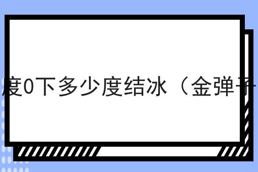 金弹子耐寒零下多少度0下多少度结冰（金弹子的耐寒温度是多少）