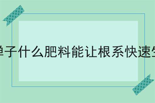 金弹子什么肥料能让根系快速生长