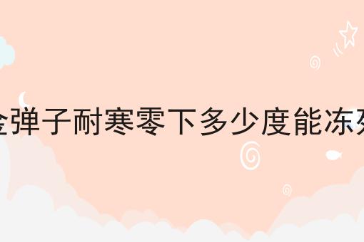 金弹子耐寒零下多少度能冻死