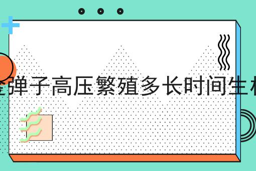 金弹子高压繁殖多长时间生根