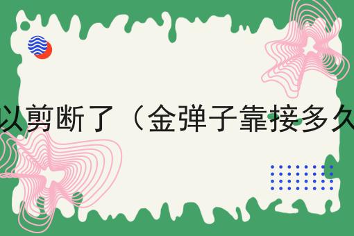 金弹子靠接多久可以剪断了（金弹子靠接多久可以剪断了枝条）