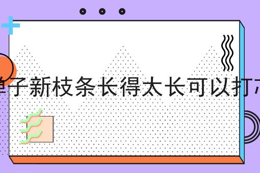 金弹子新枝条长得太长可以打芯吗