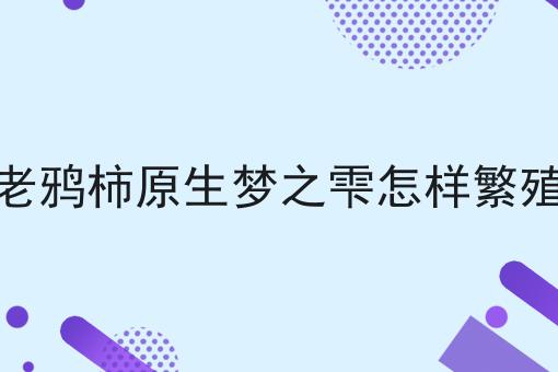 老鸦柿原生梦之雫怎样繁殖