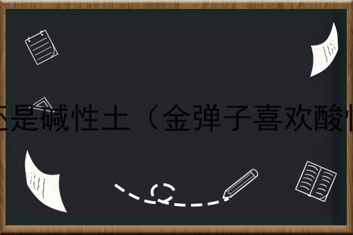 金弹子喜欢酸性土还是碱性土（金弹子喜欢酸性土还是碱性土呢）