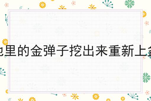 种地里的金弹子挖出来重新上盆栽