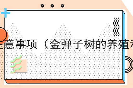 金弹子树的养殖和注意事项（金弹子树的养殖和注意事项有哪些）