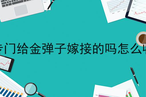 有专门给金弹子嫁接的吗怎么收费