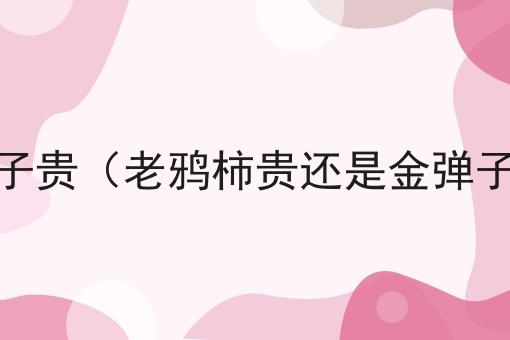 老鸦柿贵还是金弹子贵（老鸦柿贵还是金弹子贵哪个更有价值）