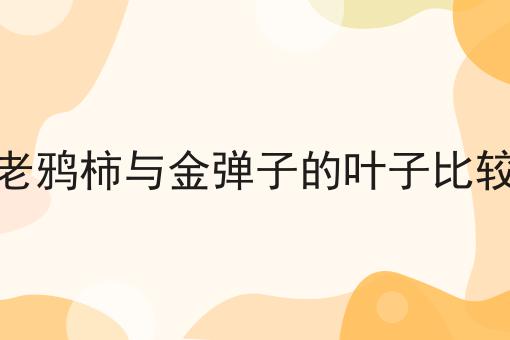 老鸦柿与金弹子的叶子比较