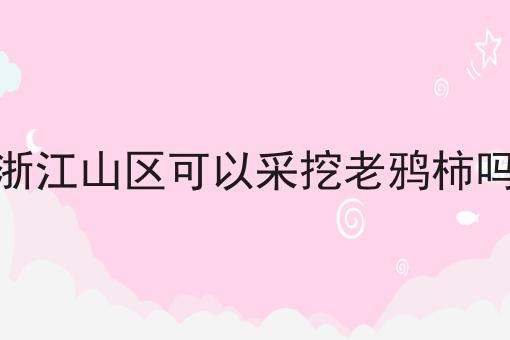 浙江山区可以采挖老鸦柿吗