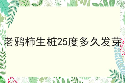 老鸦柿生桩25度多久发芽