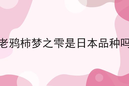 老鸦柿梦之雫是日本品种吗