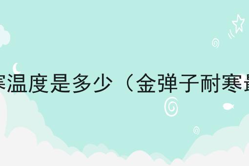 金弹子耐寒温度是多少（金弹子耐寒最低温度）