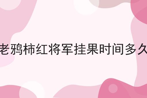 老鸦柿红将军挂果时间多久