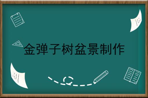 金弹子树盆景制作