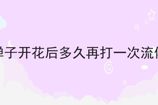 金弹子开花后多久再打一次流体硼