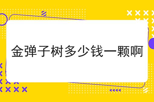 金弹子树多少钱一颗啊